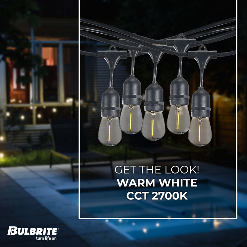 Kantrell 48-ft Outdoor 15 - Bulb Standard String Light (End to End Connectable), LED