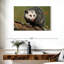 Bramble Angry Opossum-108156229