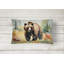 Grizzly Bear Throw Pillow