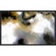 «Mark 9:23 Just Believe» par Mark Lawrence - reproduction-1304740399-1304740398