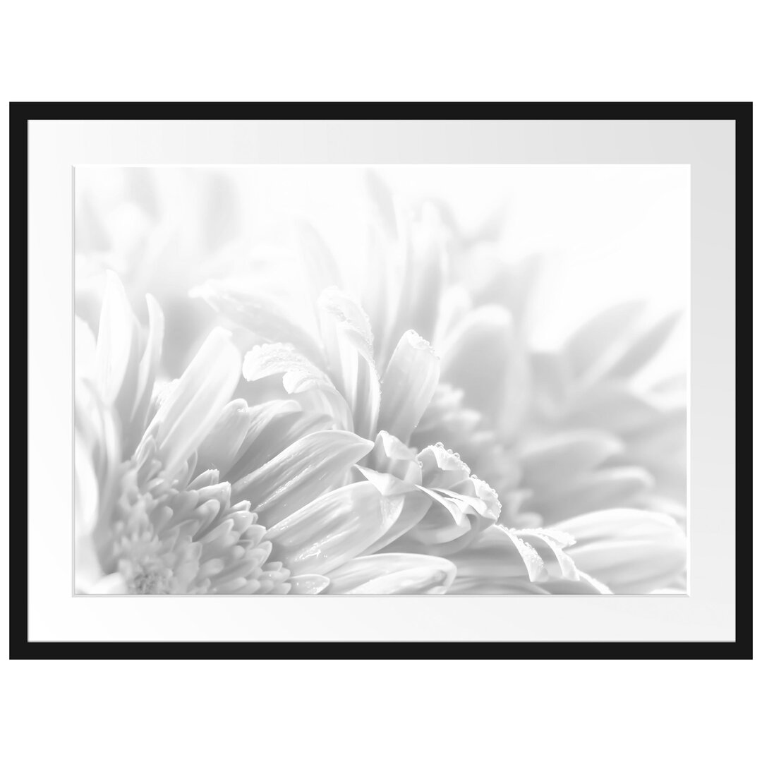 Gerahmtes Poster Gerbera-Blume