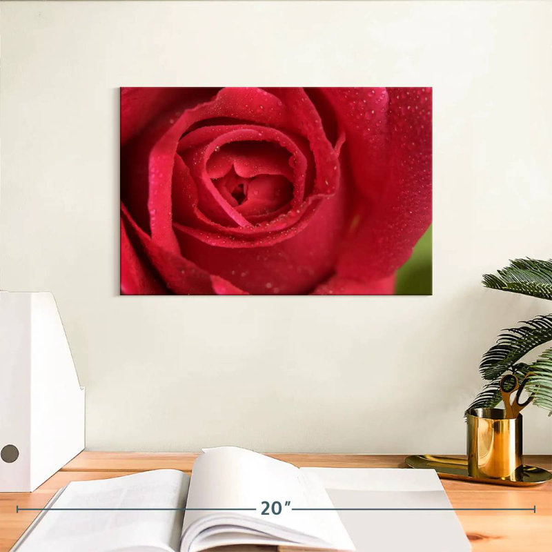 Rose rouge Harnek, H 8 po x l 12 po
