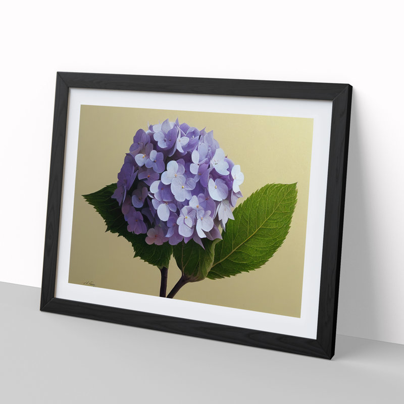 Hydrangea Flowers Vol.2 - Single Picture Frame Print, Black, 46cm H x 64cm W x 2cm D