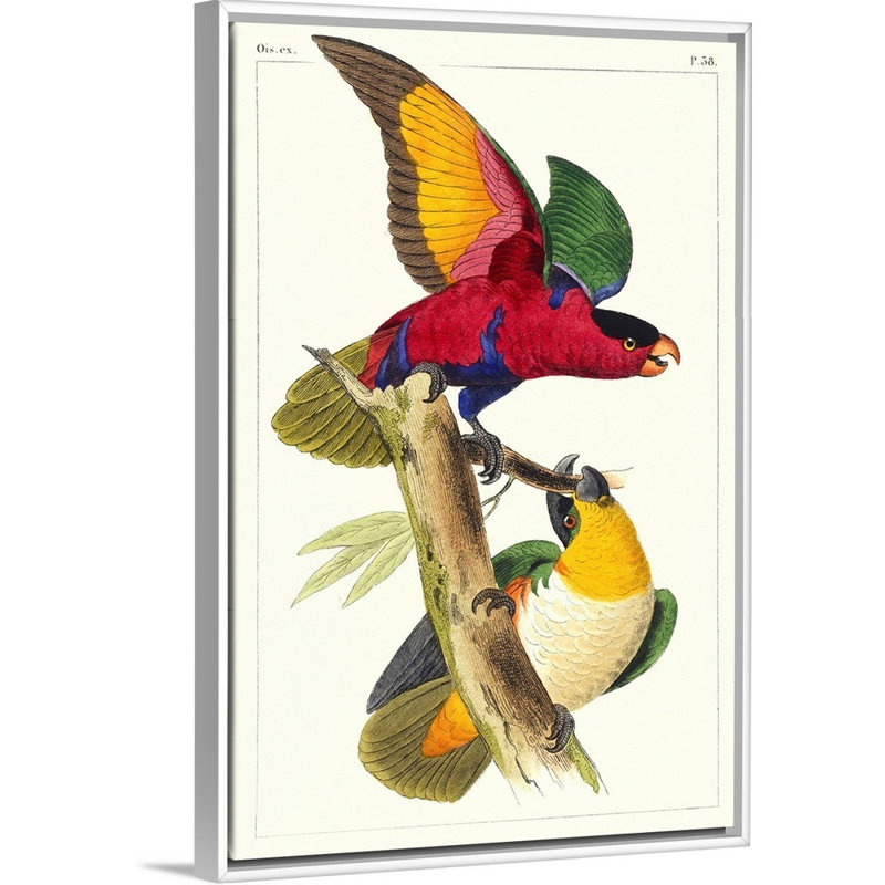 «Lemaire Parrots I», art mural sur toile, Toile blanche encadrée, H 38 po x l 26 po x P 2 po