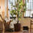 Keilson Pot Planter-775222652