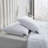 Beautyrest Softy-Around Feather And Down Euro Pillow