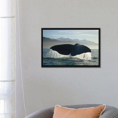 «Sperm Whale Tail, New Zealand», reproduction de photo sur toile