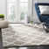 Baret Geometric Area Rug