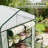 Small Greenhouse, Convenient Mini Greenhouse-125438727