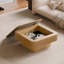 Table basse 31,5 po carrée avec rangement en bois massif plaqué-1465598144