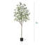 Arbre d'eucalyptus artificiel Adcock-1436333724-1417930759