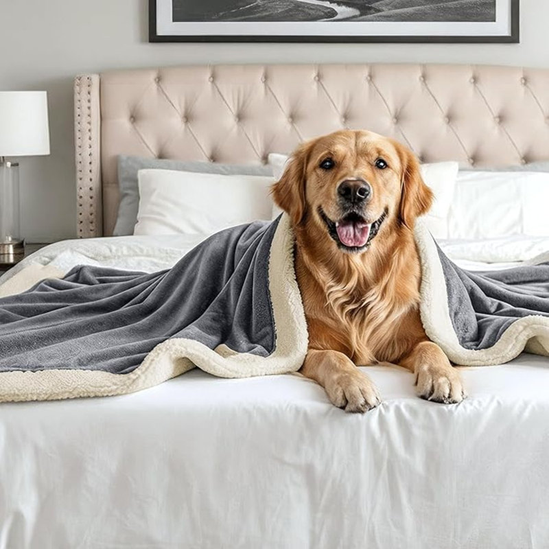 Jeté en flanelle Beddora - réversible, ultra doux et chaud, 50 po x 60 po, confortable et confortable toutes saisons pour canapé, canapé et lit - parfait pour l'hiver et l'été