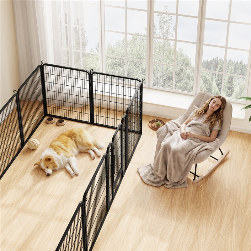Enclos pour chien, H 40 po