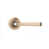 Polished Bronze