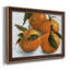 Citrus Grouping II, peinture sur toile encadrée-1841097456