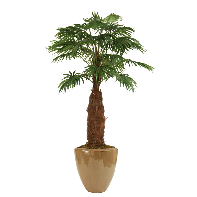 96'' Faux Palm Tree in Pot, Mocha Glazed