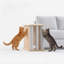 Table de bout Cat Scratcher avec poteau en sisal tissé, table d'appoint moderne 2 en 1 pour canapé-2102388680-2102388687