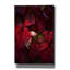 «Red Velvet» par Philippe Sainte-Laudy, impression sur toile tendue-634058464