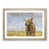 Oak Framed selected
