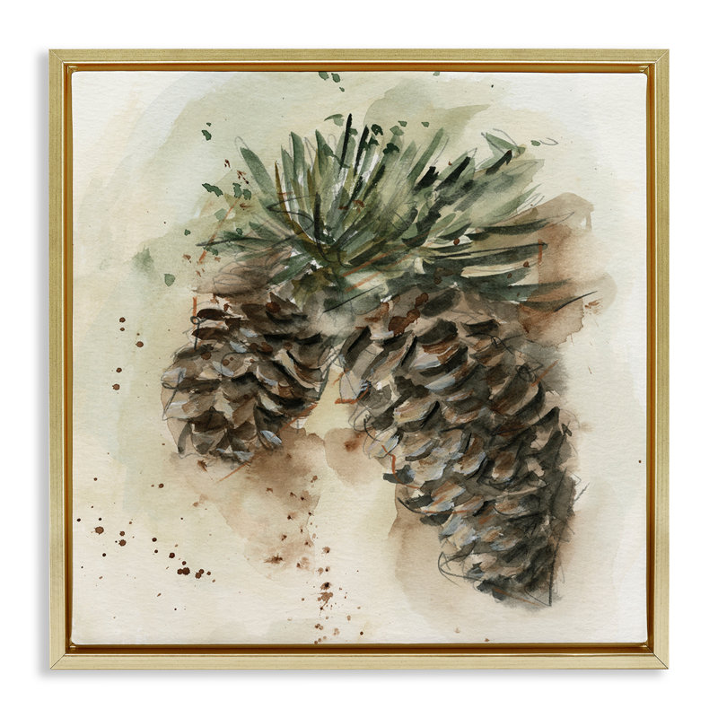 «Pine Cone Watercolor» par Ethan Harper, H 18 po x l 18 po, Cadre flottant orme Montalcino