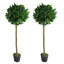 Faux Ficus and Foliage Topiary Plant in Plastic Pot Liner-39703141