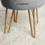 Velvet Storage Upholstered Accent Stool-480798957