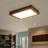LED Light Flush Mount Ceiling Light