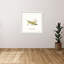 «My Greenhouse Grasshopper», reproduction sur toile-25338207-25338217