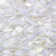 Oyster Shells 11.81 In. X 11.81 In. Pearl Shell Mosaic Tile