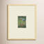 Mid Century Monoprints Giclee Print