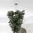 Plug & Play Upside Down Classic Christmas Tree Chandelier