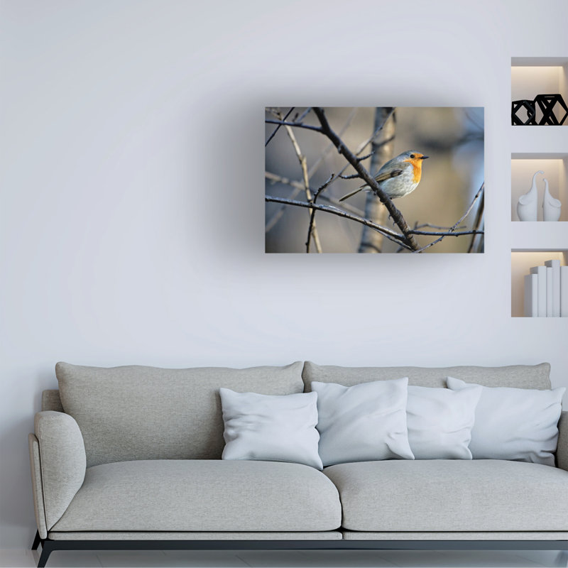 Art sur toile, Robin Bojan, H 16 po x l 24 po