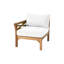 Kendrica Outdoor Teak One Arm Lounge Chair-2060398658
