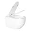 Cuvette de toilette murale allongée à fixation murale Hampton-100562362