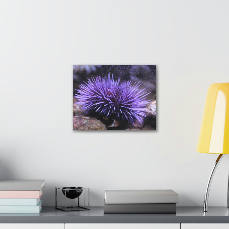 No Frame Print on Canvas