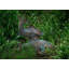 Statues de jardin en cuivre antique 