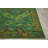 Oriental Indoor Rug-1681833865
