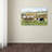 Armand 'Sheepdog with Sheep' Print on Canvas-21646856