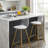 Breion Modern Transparent Bar Stools with Faux Leather Seat and Metal Legs ( Set of 2)-1957520440