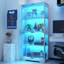 Vitrine avec portes en verre, armoire de rangement à 4 niveaux avec lumière DEL-133572503