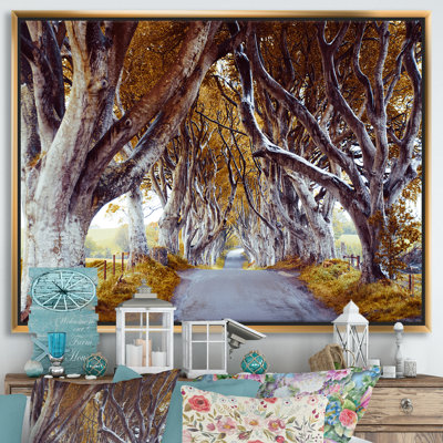" Majestic Tree Alley "