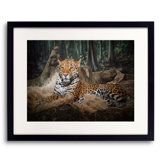Majestic Leopard Print by Scott Norris