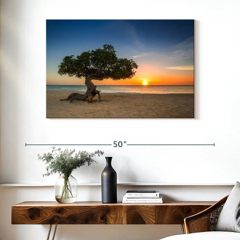 Arbre Gillard Aruba Divi Divi, H 26 po x l 39 po