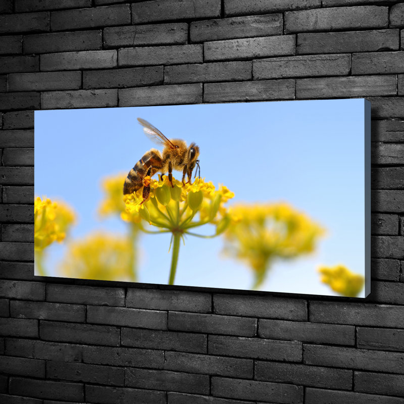 Bee On A Flower - Wrapped Canvas Print, Canvas, 50cm H x 100cm W