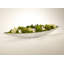 Greenery Faux Succulent Plant in Ceramic Pot