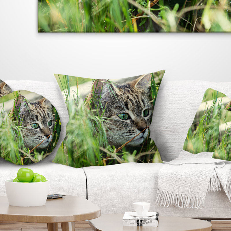 Joli chaton dans l'herbe - oreiller imprimé animal, 18 po x 18 po, Coussin décoratif