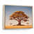 Natural Floater Framed selected