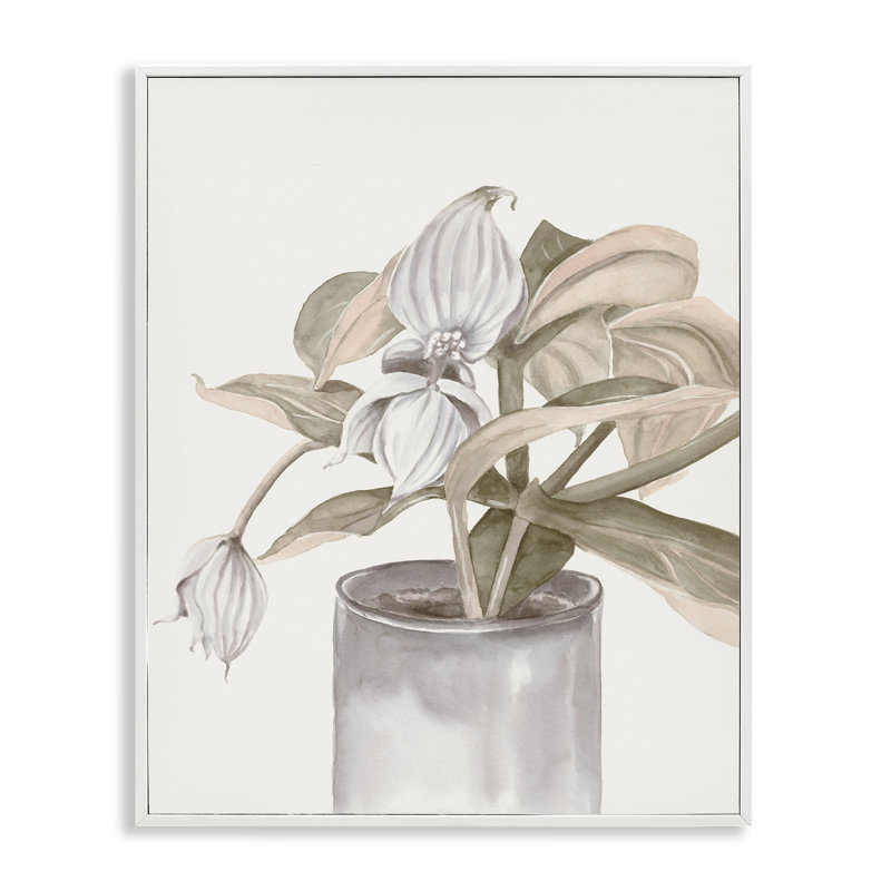Giclée encadrée Medinilla Magnifica en pot, design par Errico & Slyp, H 14 po x l 11 po