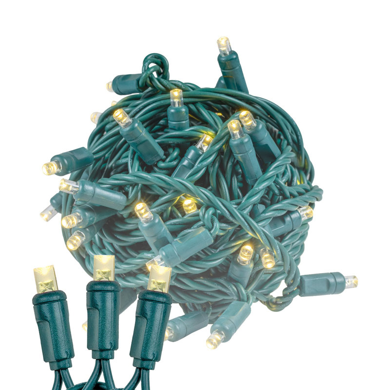 Outdoor 50 - Bulb 11'' Plug-in LED Wide Angle LED String Light, Warm White, Green