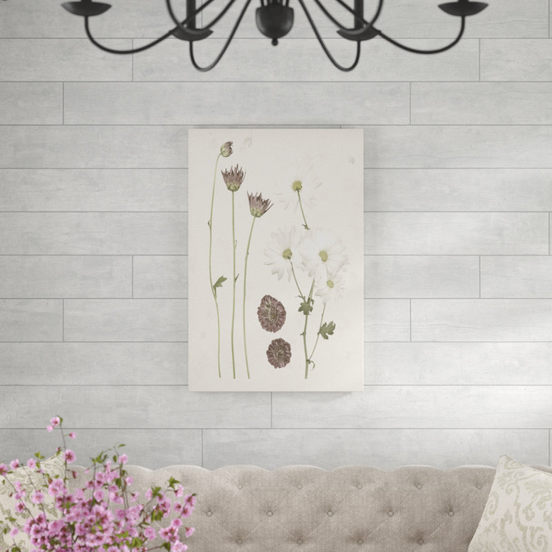 «Pressed Blooms IV», impression sur toile, H 36 po x l 24 po